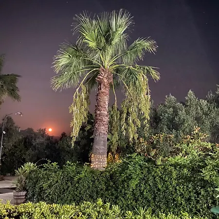 The Planet Holiday home