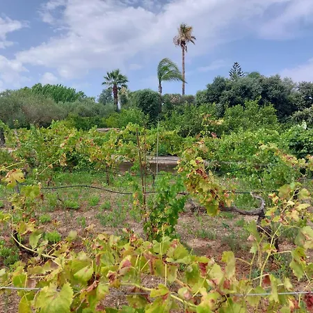 The Planet バレストラーテ