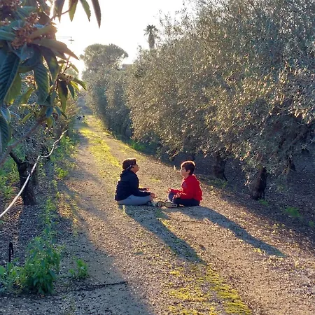 The Planet バレストラーテ