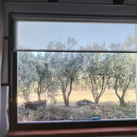 The Planet 別荘 バレストラーテ