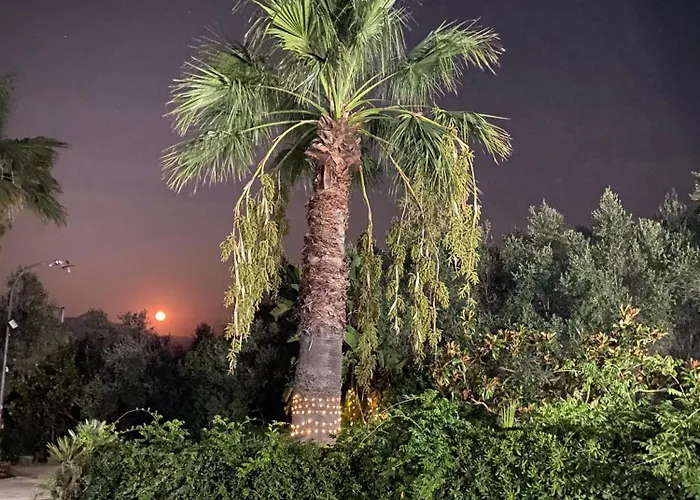 The Planet Prázdninový dům