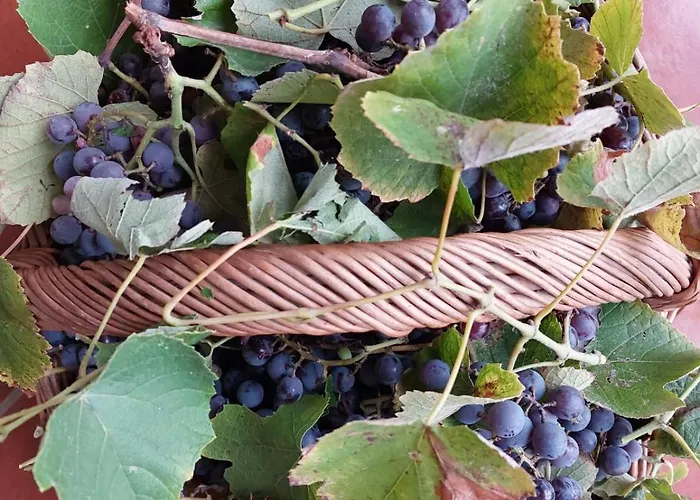 Prázdninový dům The Planet