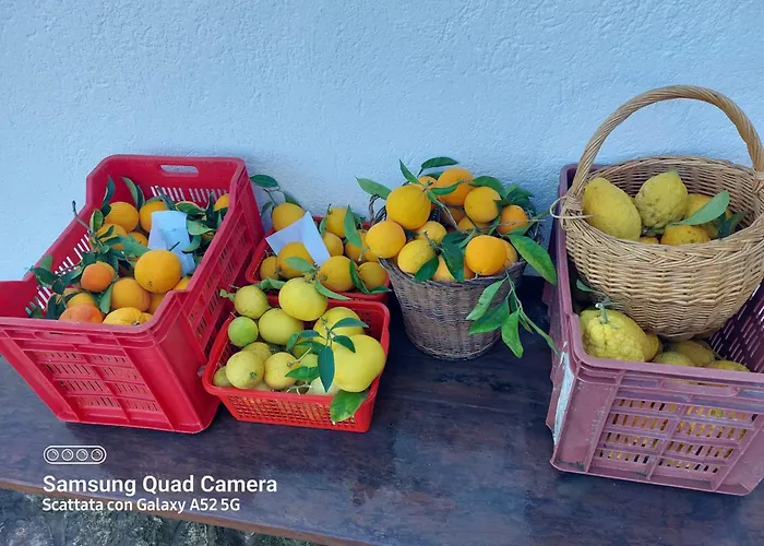 Prázdninový dům The Planet