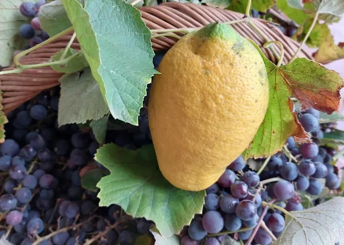 The Planet Prázdninový dům *