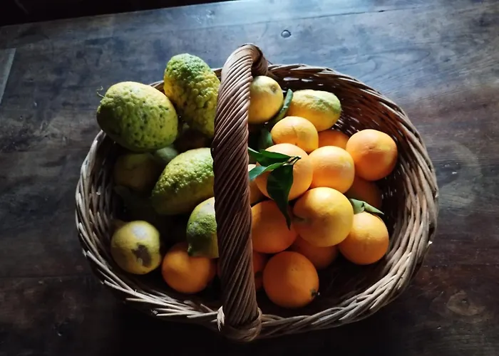 Prázdninový dům The Planet *