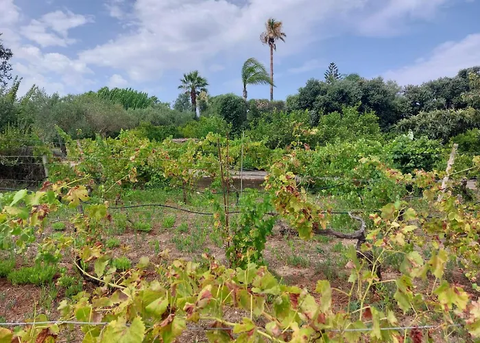 The Planet Balestrate