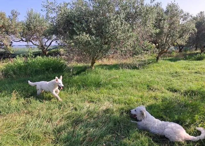 The Planet Prázdninový dům